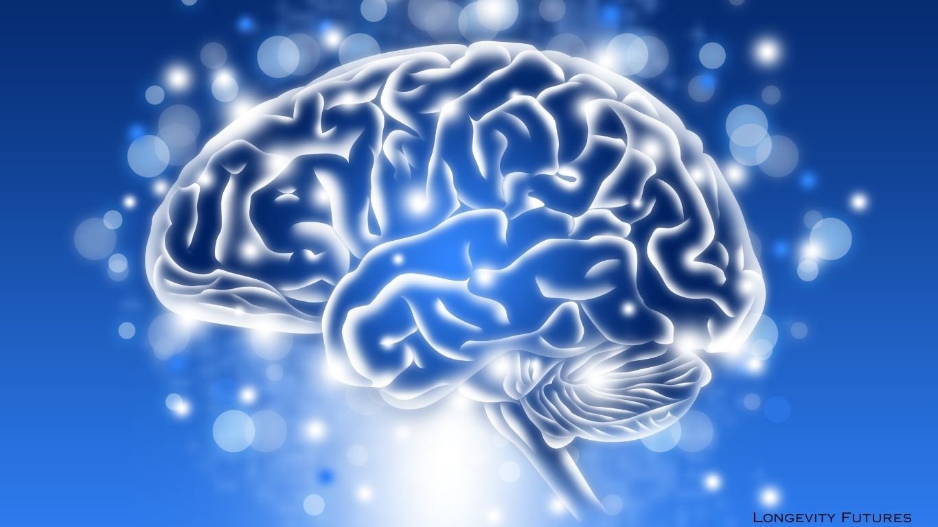 Best Brain Supplements